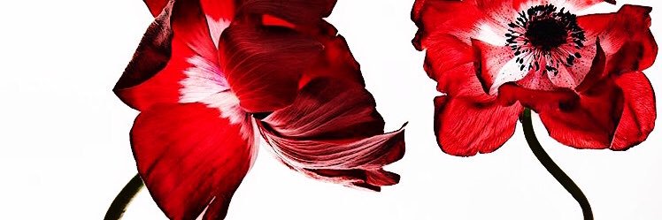 rr_bagp's profile banner image