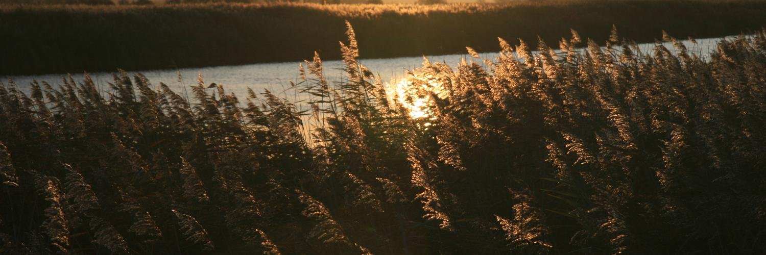 broadsspiritual's profile banner image