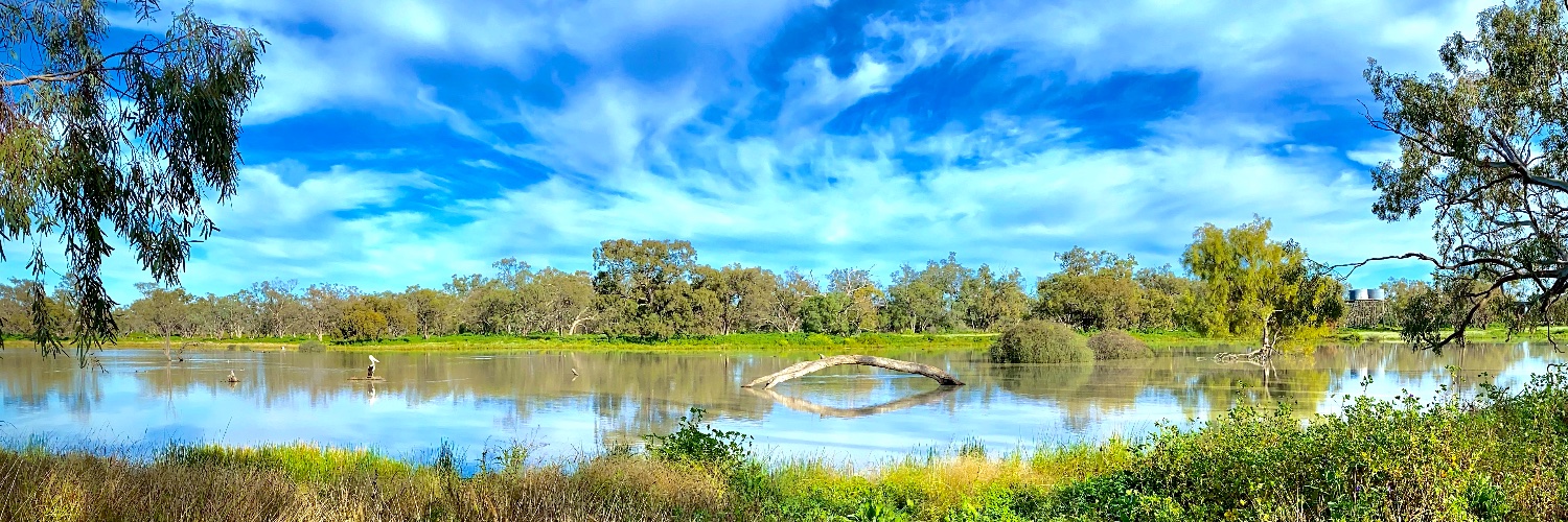 @JustineBucknell💧 also @juzzyb.bsky.social banner