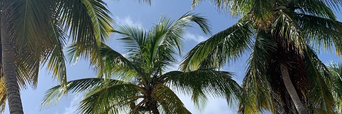 Meribeth Delgado banner