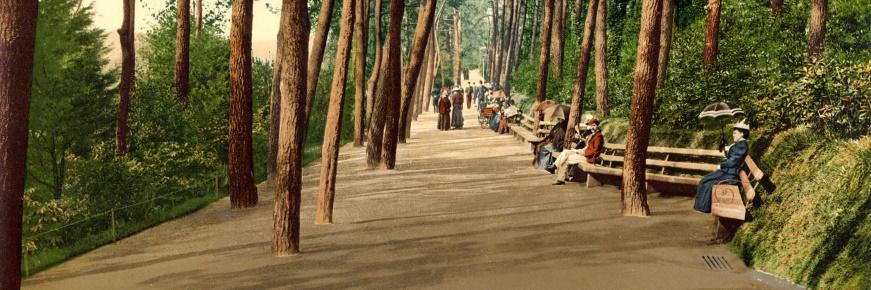 TheDigital19thC's profile banner image