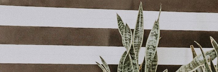 MadisonTaylor03's profile banner image
