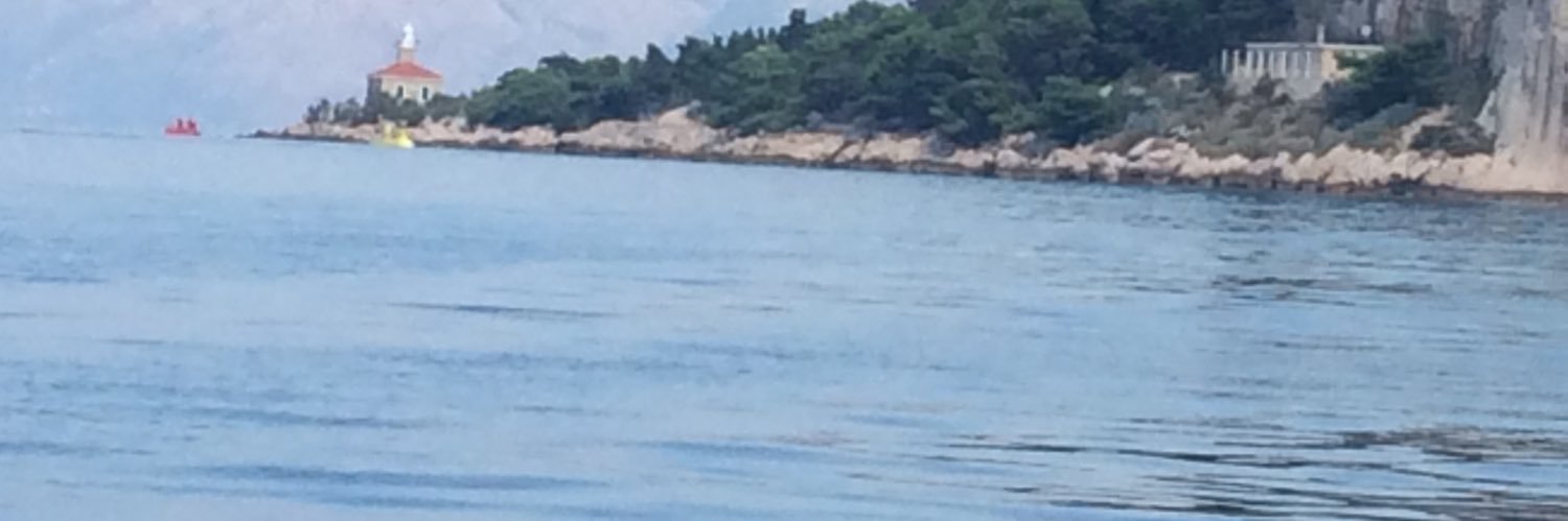 non bene pro toto libertas venditur auro banner