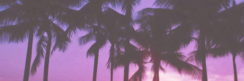 sebsgrier's profile banner image