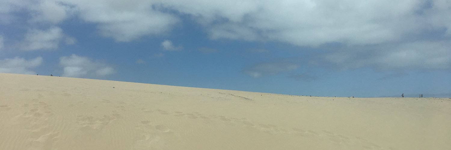 elicapsa's profile banner image