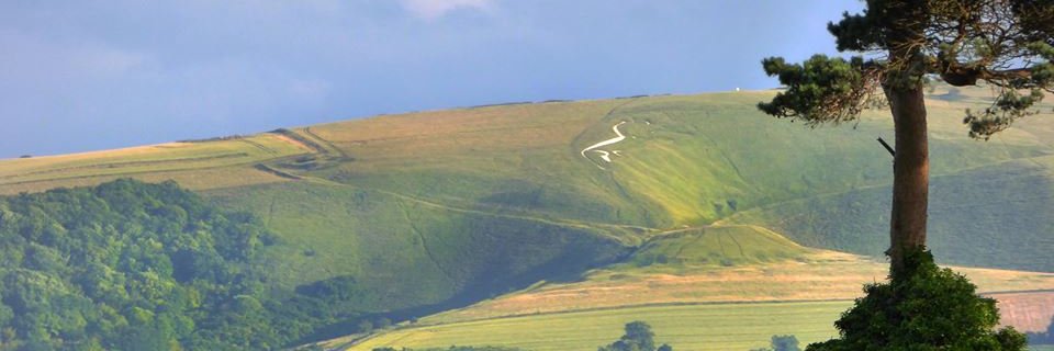 WantLabour's profile banner image