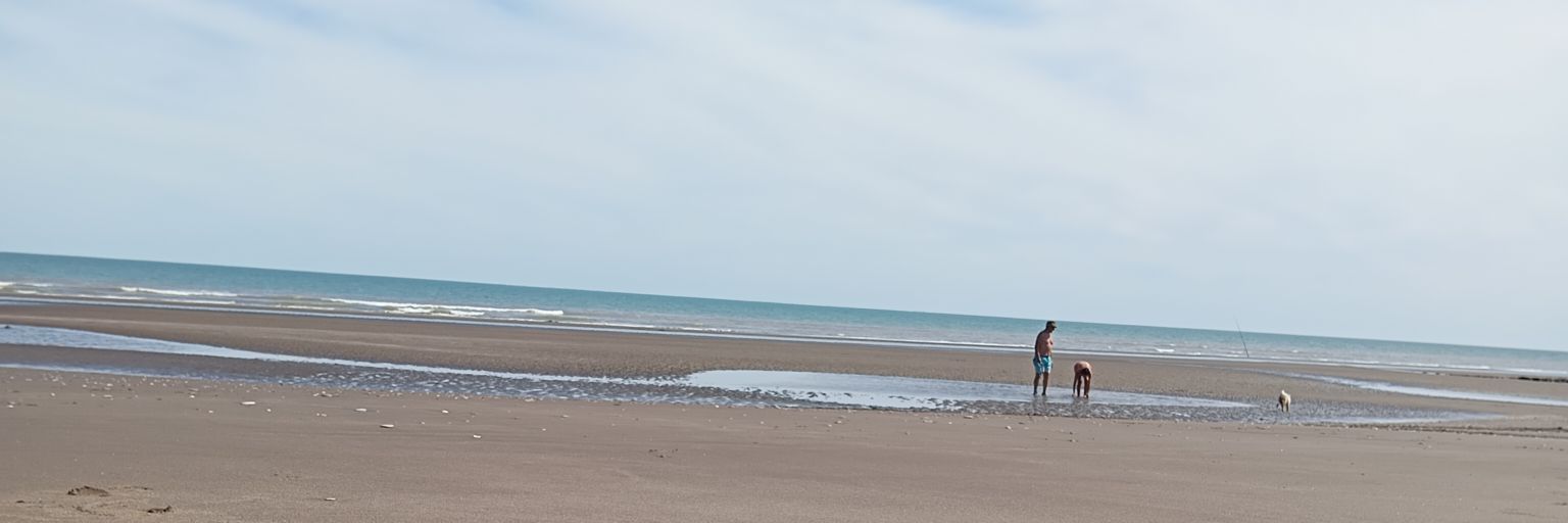LouDaviid's profile banner image