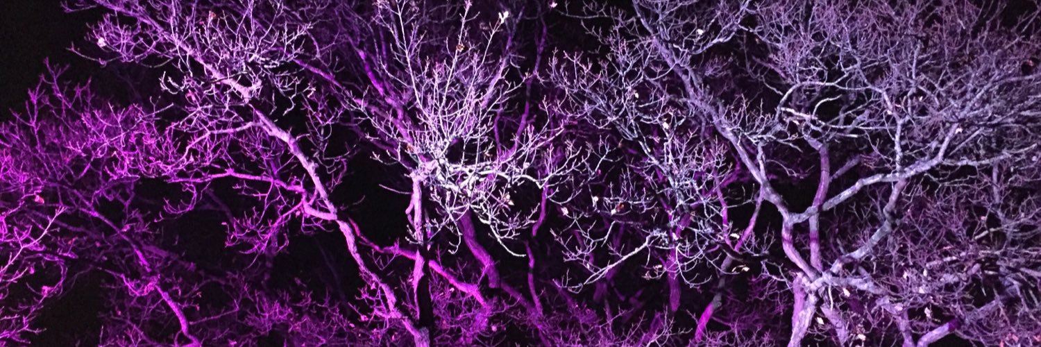 Unlocked Vision banner