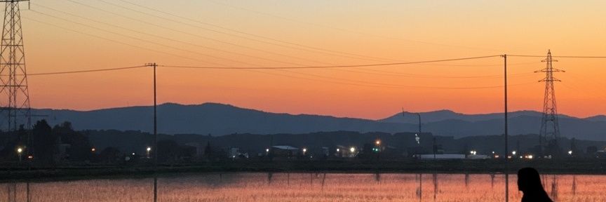 tarbo0901's profile banner image