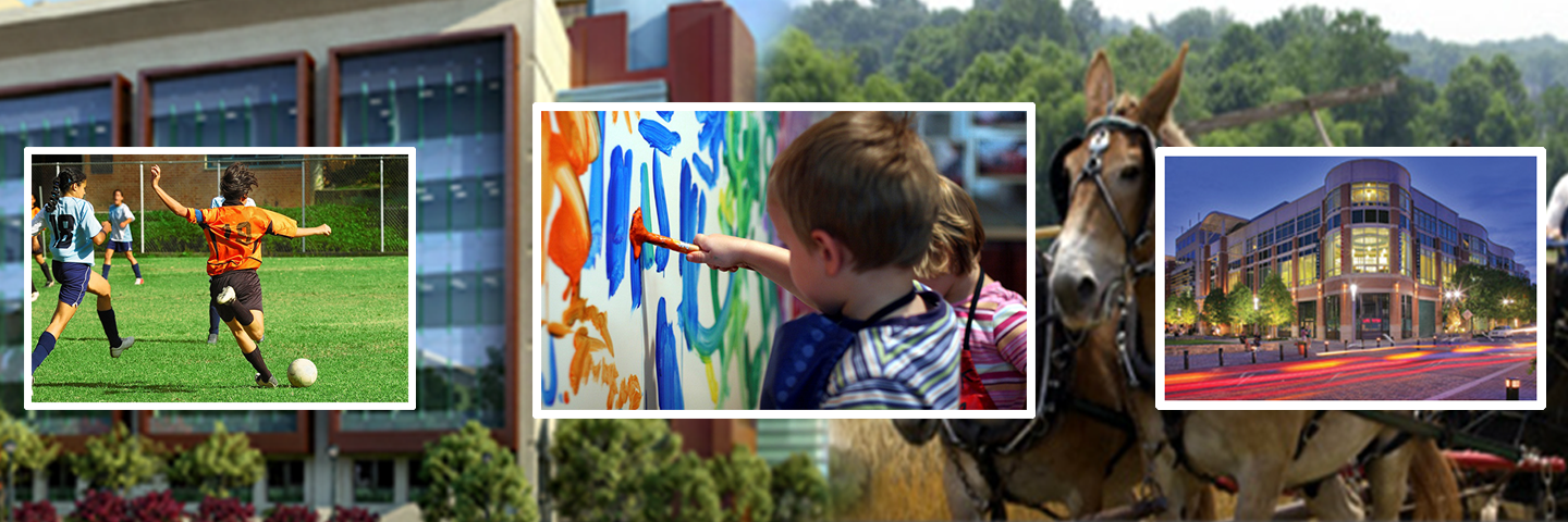 dataMontgomery banner