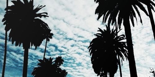 jennermiagdr's profile banner image