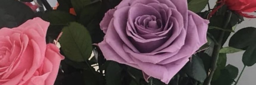 adrifontecha's profile banner image