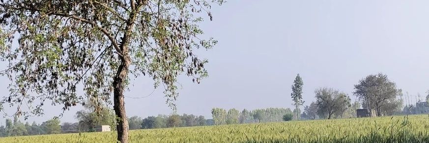 rohitbathla18's profile banner image