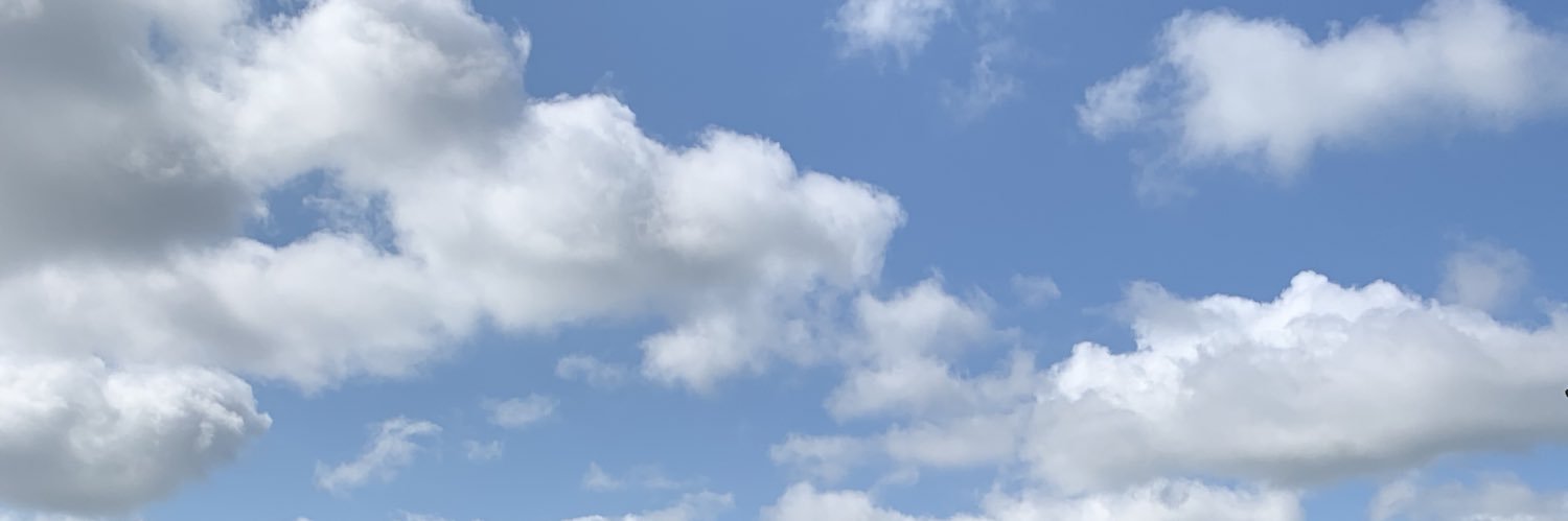 idfcemily's profile banner image