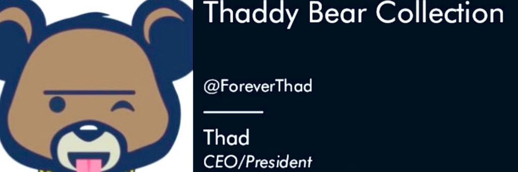 Thaddy Bear Collections 🐻 banner