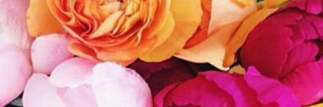 kaniafd's profile banner image