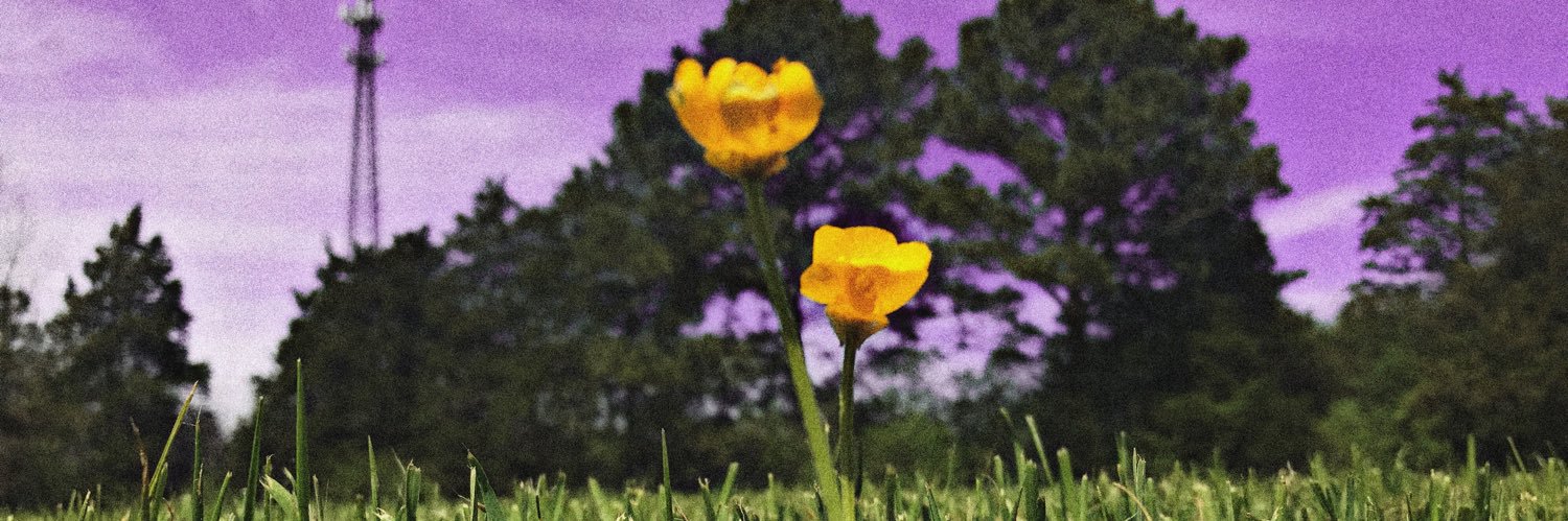 MirelesMarc's profile banner image