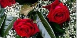 qwtia's profile banner image