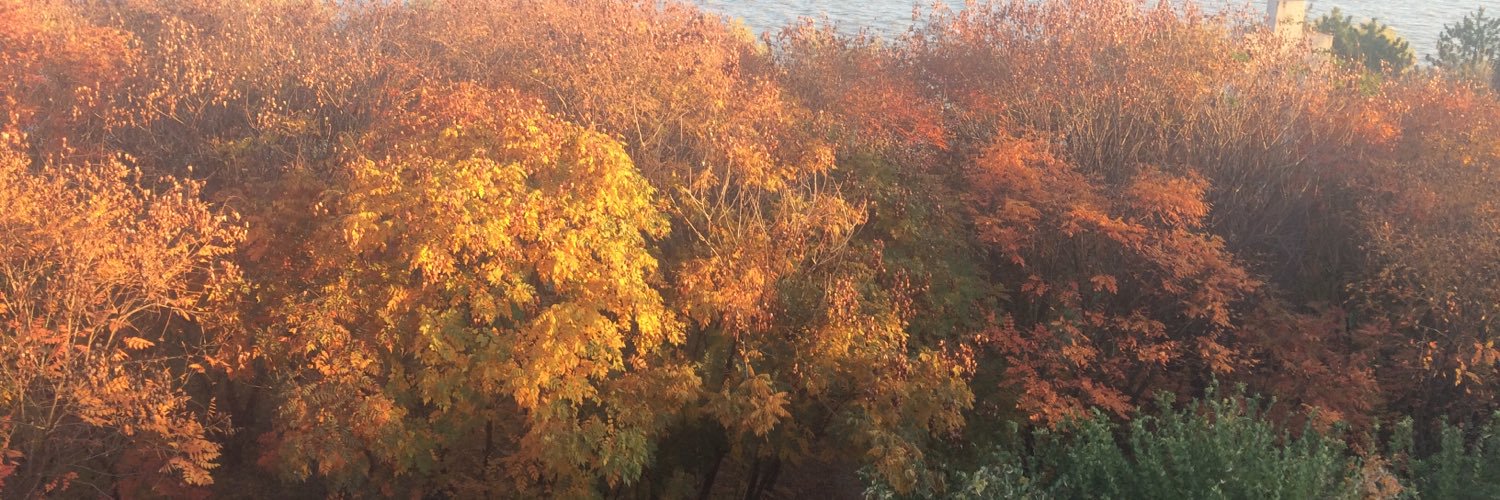 GrigorutC's profile banner image