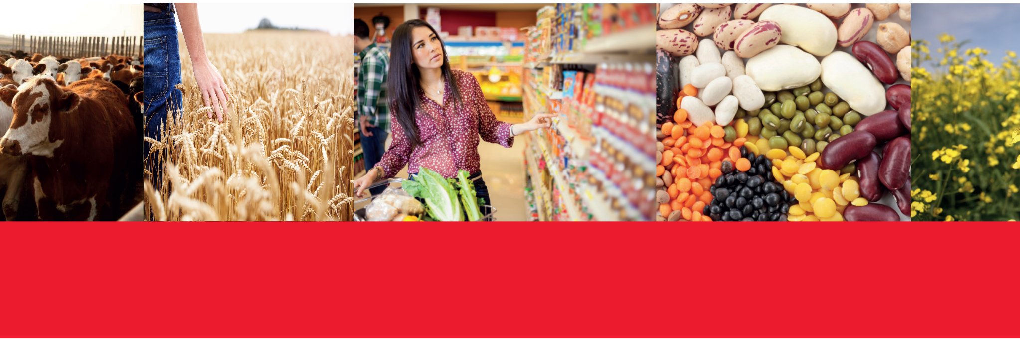 CAFTA_ACCA's profile banner image