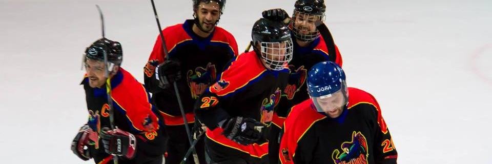 WizardsZH's profile banner image