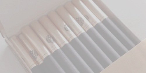 megantbgdr's profile banner image
