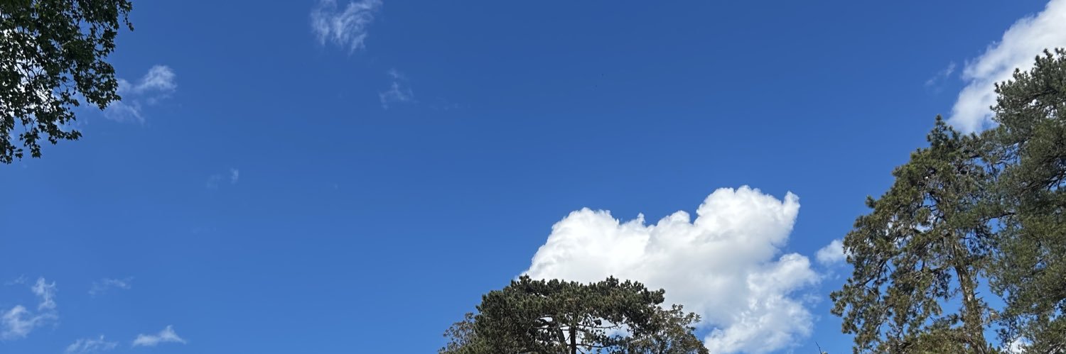 1000qlf's profile banner image