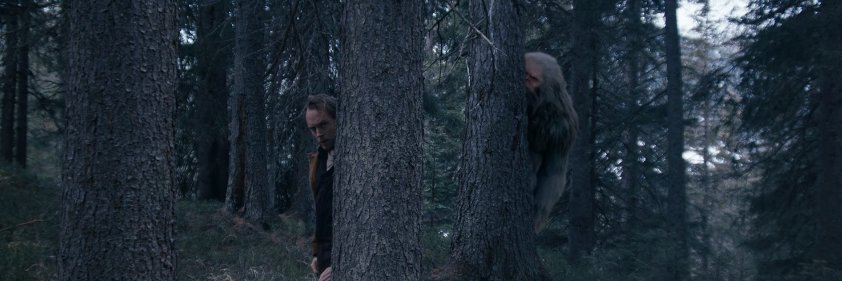 Gordo Reflexión banner