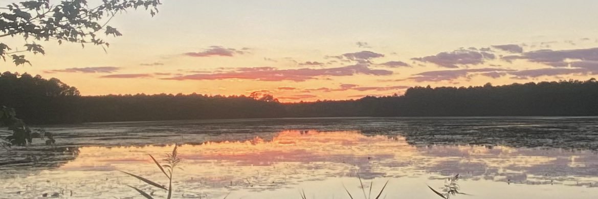catie857's profile banner image