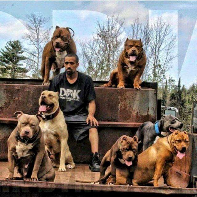 giwa_gibson's profile banner image