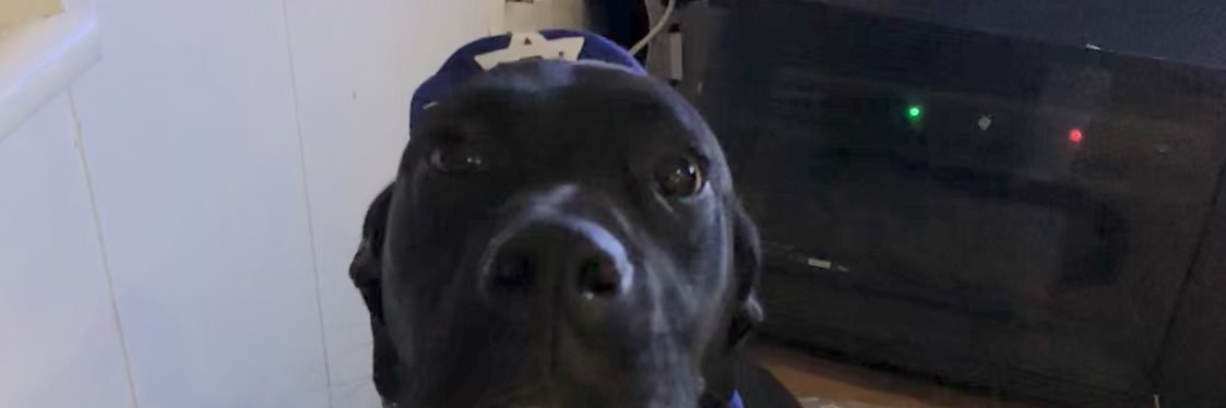 kobiballin's profile banner image