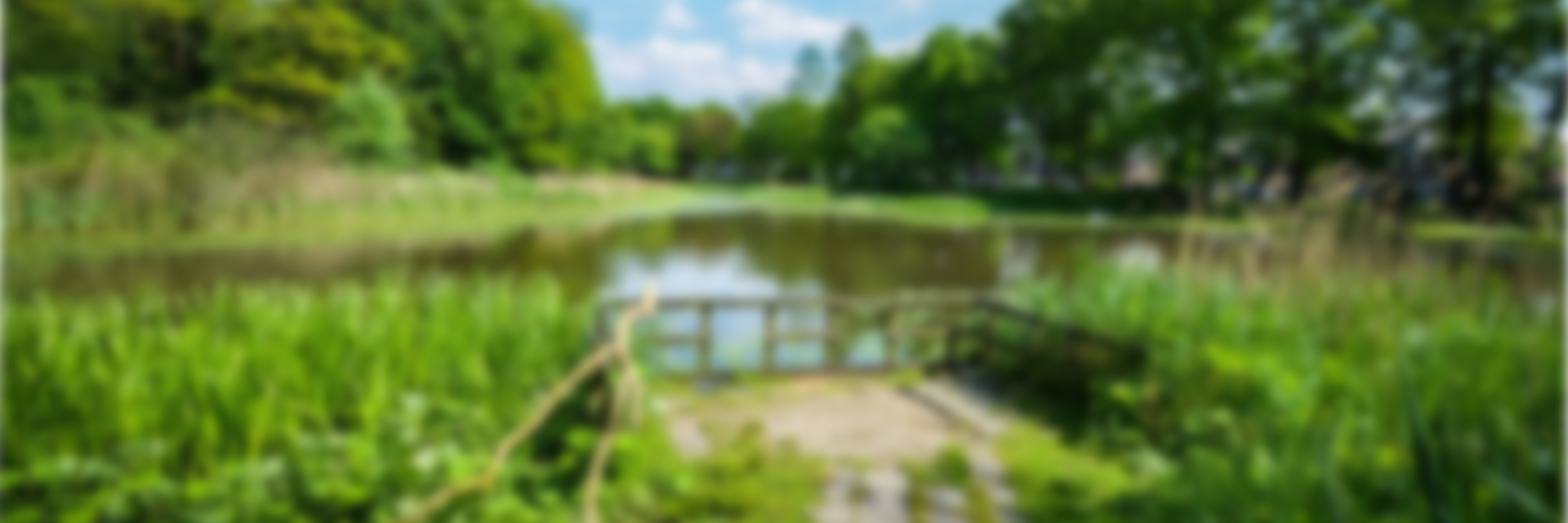 sonsbeeckpark's profile banner image