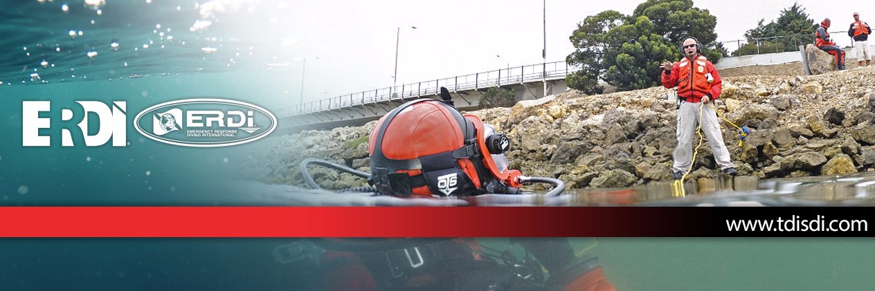 ERDI Diver banner