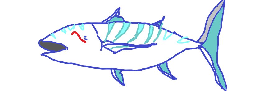 kami3rs's profile banner image