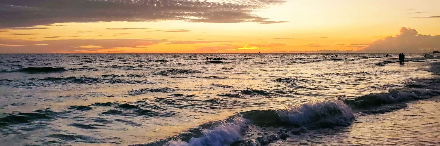 taylor_fertig's profile banner image