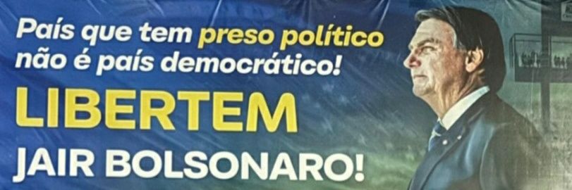 Li 🌻 banner