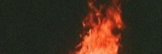 erikaa banner