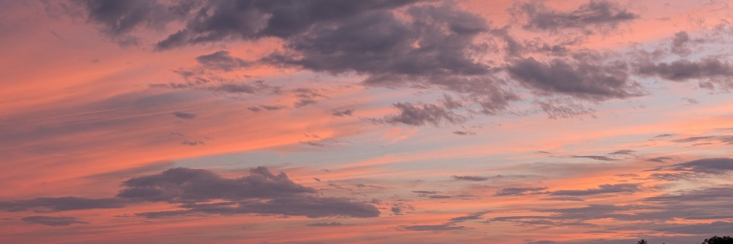 warewarehaucyu1's profile banner image
