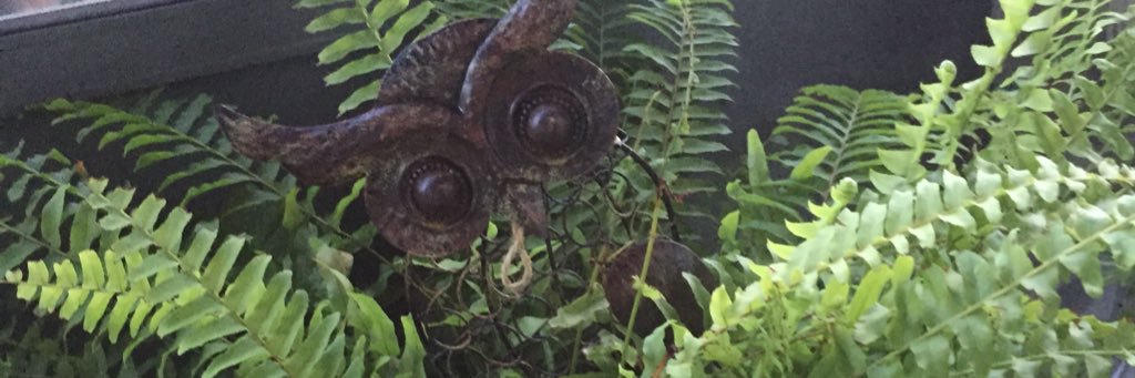 DenyseTerry's profile banner image