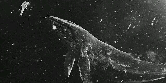 Opalite. banner