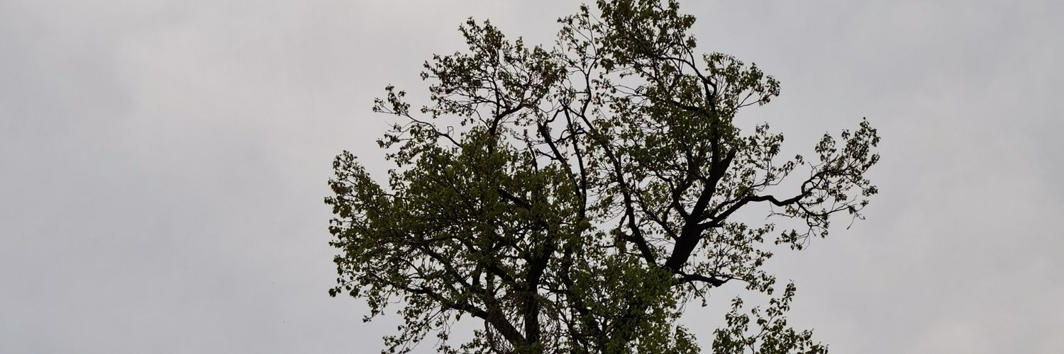 al588's profile banner image