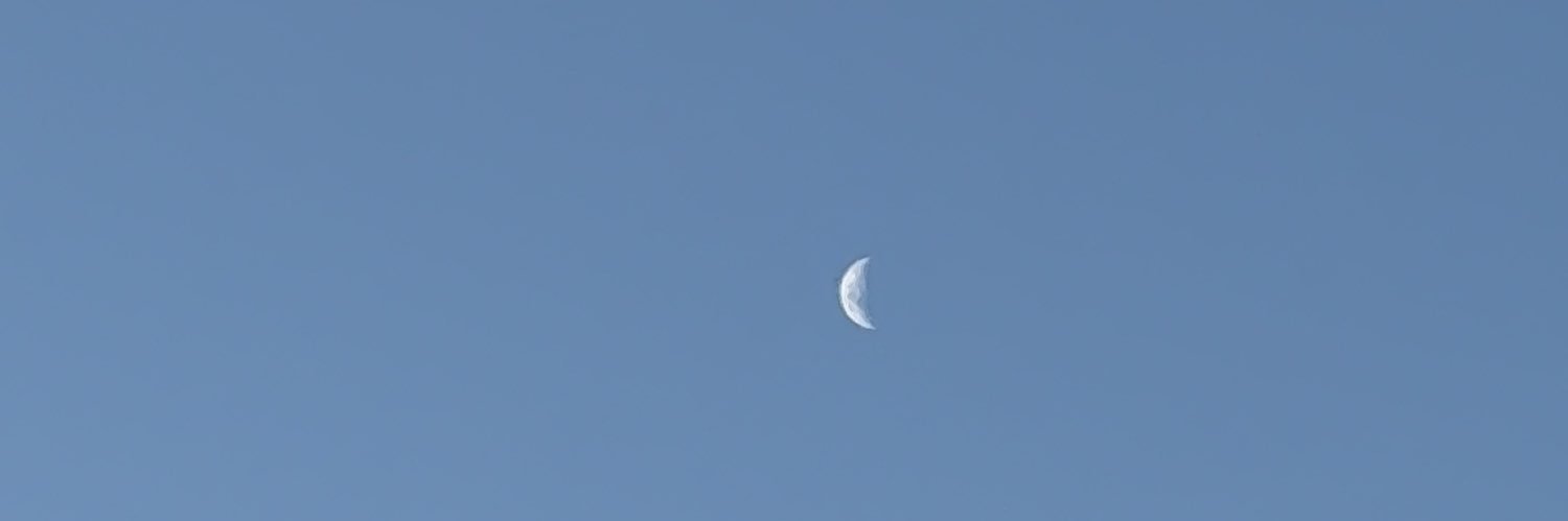 yyasf_01's profile banner image
