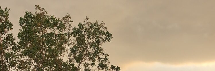 gaa5000's profile banner image