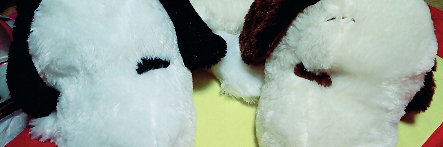 kvolleyn's profile banner image