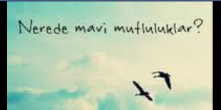 altunhan_fatma's profile banner image