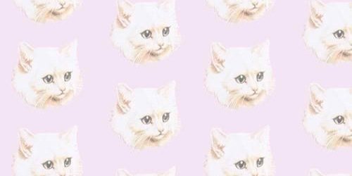 ailurcphilerp's profile banner image