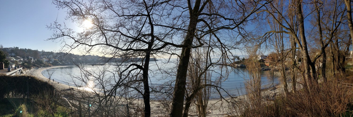 Tradethebell 📈🚀 banner