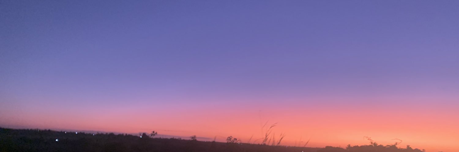evymedrado's profile banner image