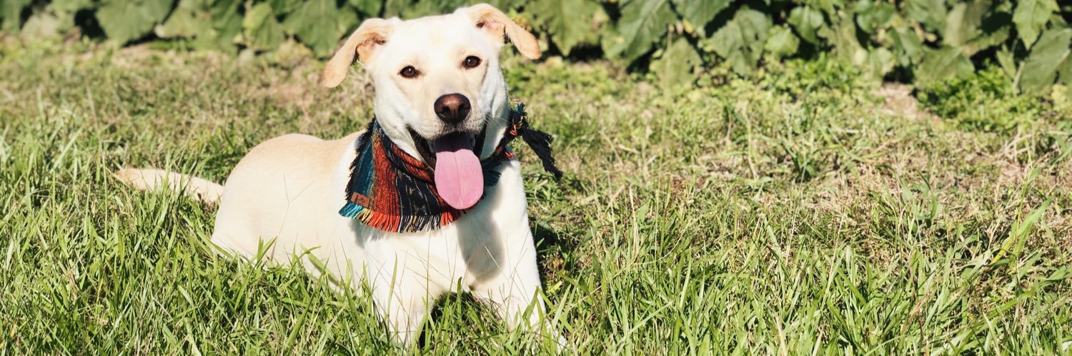Magoo2124's profile banner image