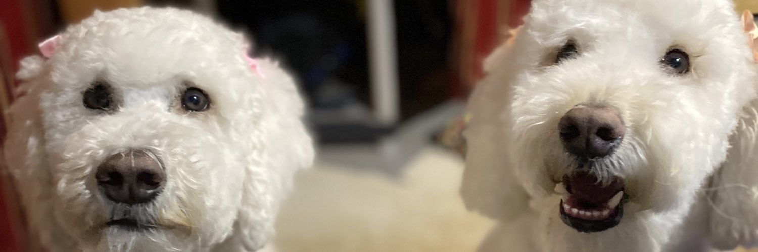 JessicaaLockee's profile banner image